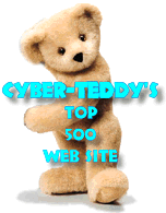 CyberTeddy Top 500 Award