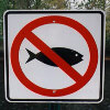 No Fishing!